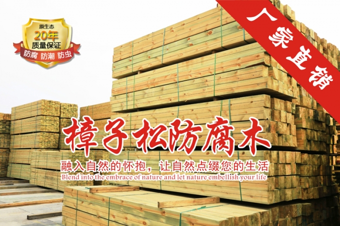 現(xiàn)代通過防腐木涼亭的規(guī)劃設(shè)計構(gòu)思